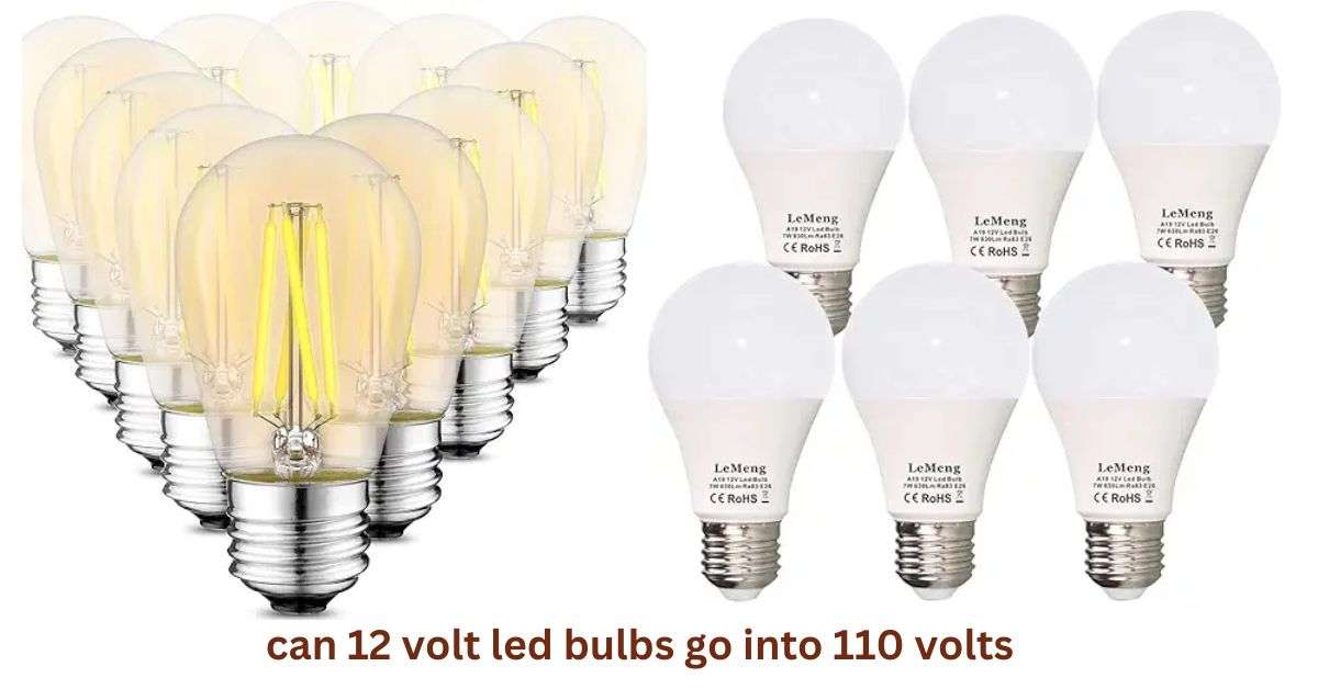 Can 12 Volt Led Bulbs Go into 110 Volts