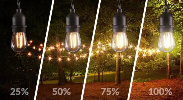 Do Halogen Bulbs Dim Over Time