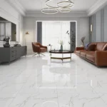 Floor Tiles for Living Room